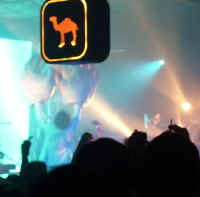 flaminglips 017.jpg (78340 bytes)